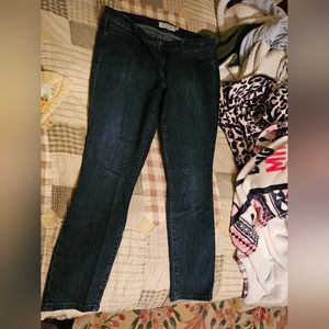 Womens Torrid Jeans. Skinny. Size 16.